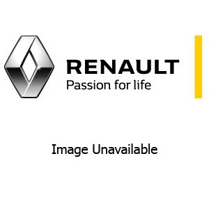 Genuine Renault Arkana Fire Extinguisher Binding