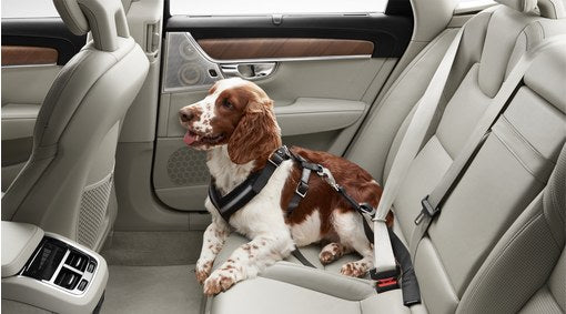 Genuine Volvo Xc60 Dog Harness - Medium (15Kg - 30Kg)