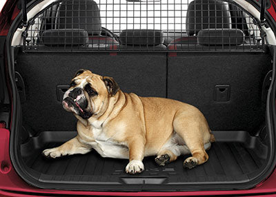 Genuine Nissan Juke Dog Guard