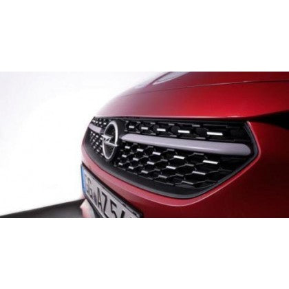 Genuine Corsa F Grille Insert - White