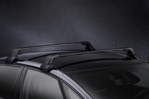 Genuine Citroen Ds5 Roof Bars