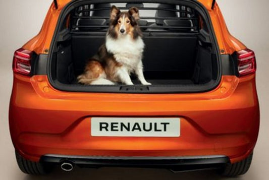 Genuine Renault Captur Partition Grille