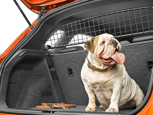 Genuine Seat Arona Dog Guard