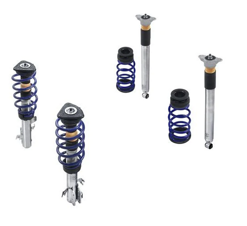 Genuine Ford Fiesta Coilovers - St Models